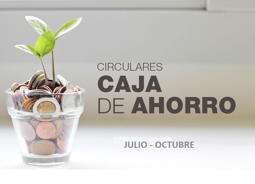 CAJA DE AHORRO 2024